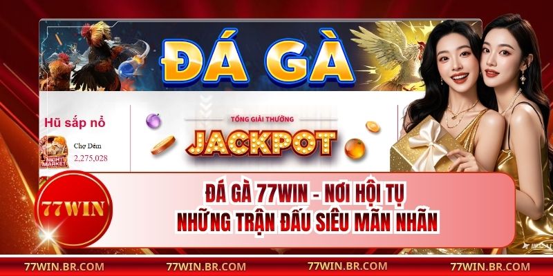 Đá Gà 77win - Nơi Hội Tụ Những Trận Đấu Siêu Mãn Nhãn