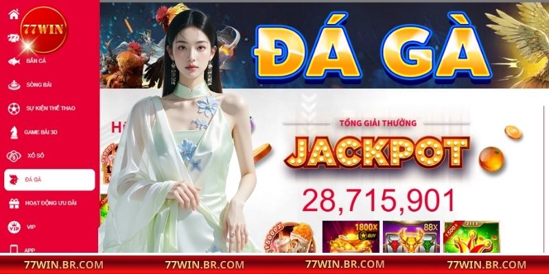 Khám phá hình thức chọi kê cựa sắt