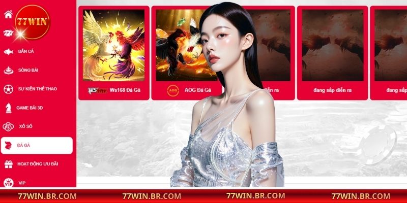Những thông tin chính về sảnh đá gà 77win